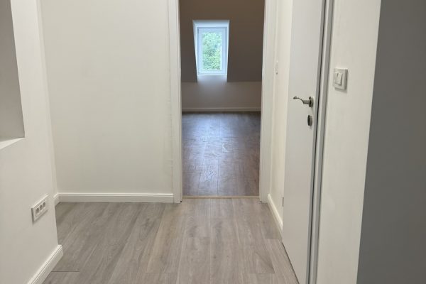 Projekt "Bednjanska"